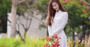 hoaphuong 10 310x165 - Thuyết minh về chiếc áo dài Việt Nam